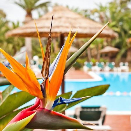 Baia Delle Palme Beach サンタ・マルゲリータ・ディ・プーラ エクステリア 写真