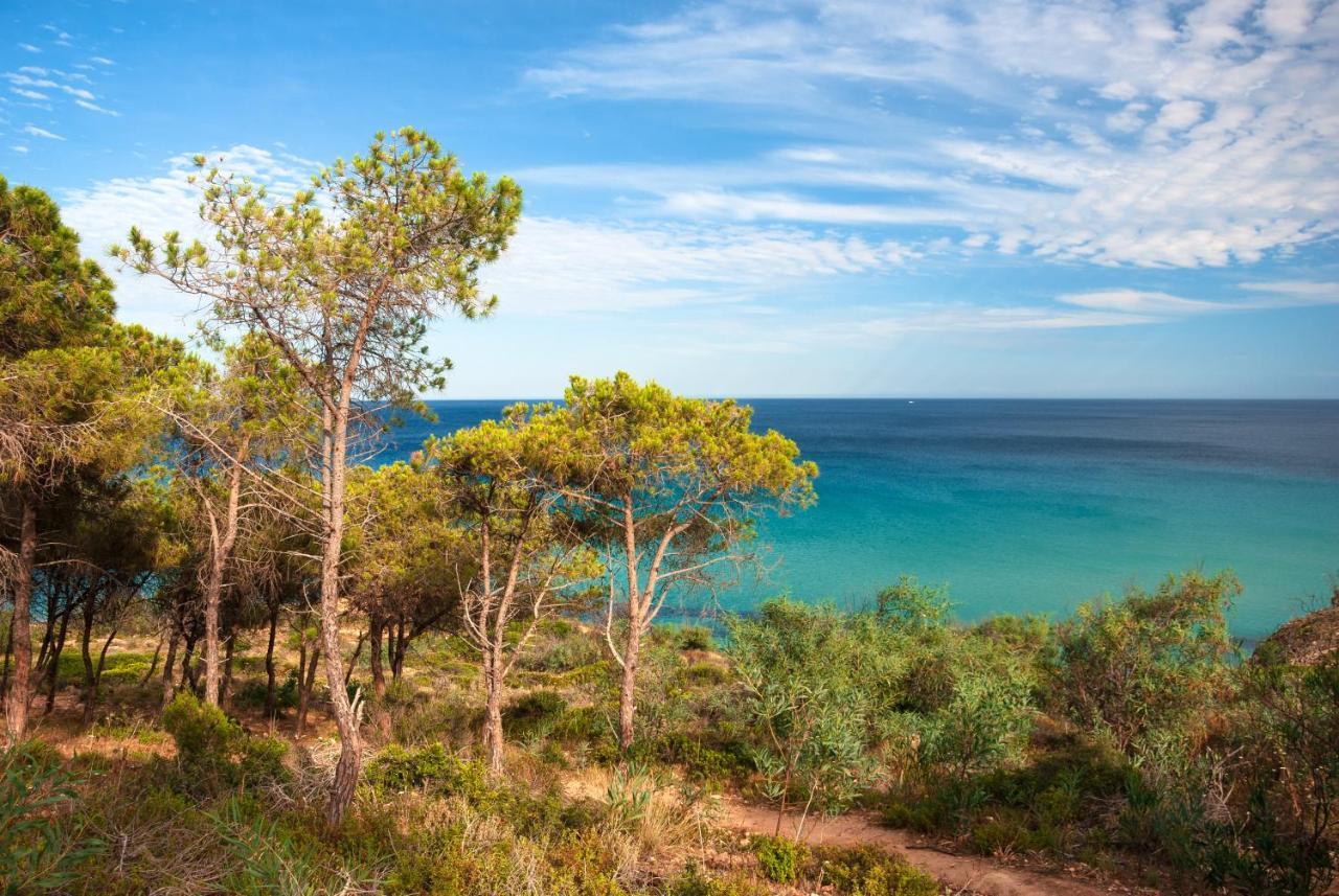 Baia Delle Palme Beach サンタ・マルゲリータ・ディ・プーラ エクステリア 写真